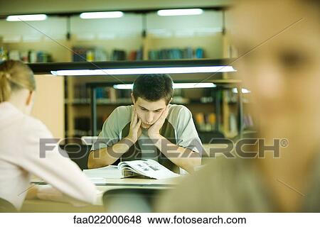 Students studying in library View Large Photo Image Stock Photo - Students studying in library. Fotosearch