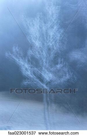 Tree, long exposure View Large Photo Image Stock Photo - Tree, long exposure. Fotosearch