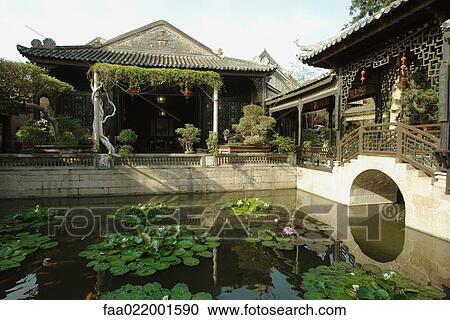 Stock Image - Water lily pond in temple courtyard, Guangdong province, China. Fotosearch