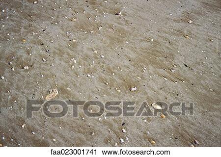 Wet sand, full frame View Large Photo Image Stock Image - Wet sand, full frame. Fotosearch