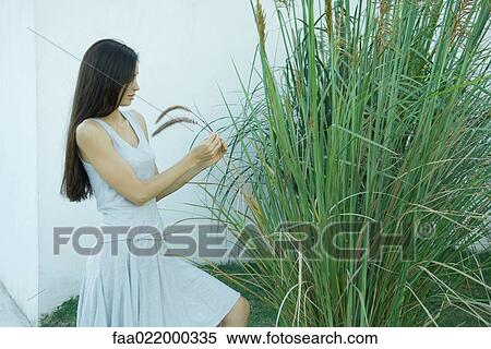Woman looking at ornamental plant View Large Photo Image Stock Photography - Woman looking at ornamental plant. Fotosearch