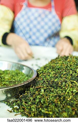 Stock Photograph - Woman sorting tea leaves, cropped view. Fotosearch