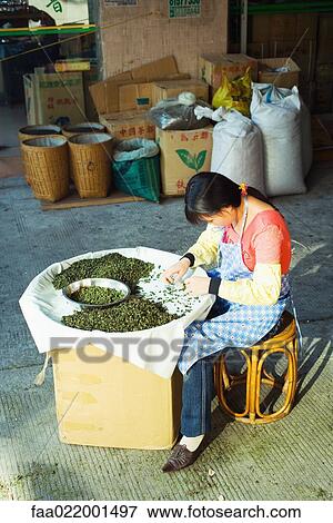 Stock Photo - Woman sorting tea leaves in market. Fotosearch