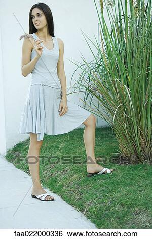 Woman standing by ornamental plant, looking over shoulder, full length portrait View Large Photo Image Stock Photograph - Woman standing by ornamental plant, looking over shoulder, full length portrait. Fotosearch
