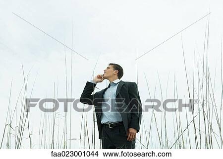 Young businessman standing in tall grass, using cell phone, low angle view View Large Photo Image Picture - Young businessman standing in tall grass, using cell phone, low angle view. Fotosearch