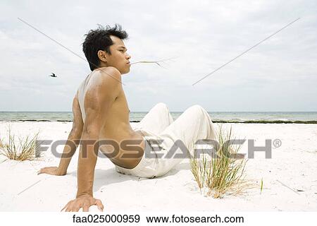Barechested man sitting on beach, holding blade of grass in mouth, full length View Large Photo Image Stock Photo - Barechested man sitting on beach, holding blade of grass in mouth, full length. Fotosearch