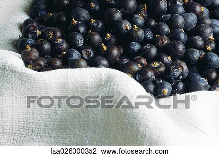 Stock Image - Black currants piled on towel, close-up. Fotosearch