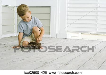 Boy crouching on the ground, touching bird's nest, looking down View Large Photo Image Stock Photography - Boy crouching on the ground, touching bird's nest, looking down. Fotosearch
