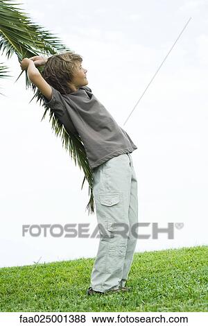 Boy leaning against palm branch, side view View Large Photo Image Stock Photo - Boy leaning against palm branch, side view. Fotosearch