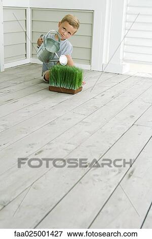 Boy sitting on the ground, watering wheat grass, looking at camera View Large Photo Image Stock Photo - Boy sitting on the ground, watering wheat grass, looking at camera. Fotosearch