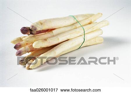 Stock Photo - Bunch of white asparagus, close-up. Fotosearch