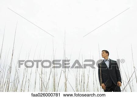 Businessman standing in tall grass, looking away View Large Photo Image Stock Image - Businessman standing in tall grass, looking away. Fotosearch