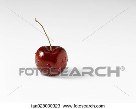 Cherry, close-up View Large Photo Image Stock Image - Cherry, close-up. Fotosearch