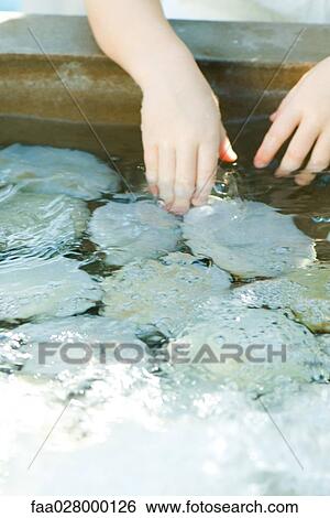 Stock Photograph - Child touching rocks in shallow pool, cropped view. Fotosearch