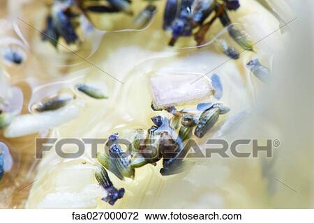 Dried lavender floating in water, extreme close-up View Large Photo Image Stock Image - Dried lavender floating in water, extreme close-up. Fotosearch