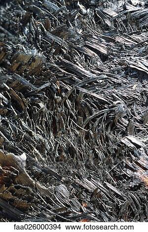 Driftwood, close-up, full frame View Large Photo Image Picture - Driftwood, close-up, full frame. Fotosearch