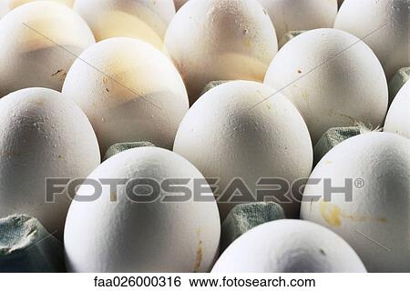 Eggs in carton, close-up View Large Photo Image Stock Photograph - Eggs in carton, close-up. Fotosearch