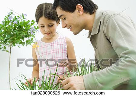 Father and little girl touching plants together View Large Photo Image Stock Photography - Father and little girl touching plants together. Fotosearch