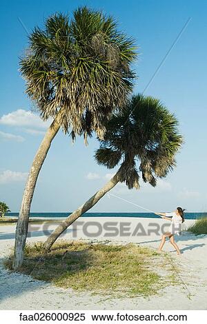 Female at the beach, pulling rope tied to palm tree, mid-distance View Large Photo Image Stock Photography - Female at the beach, pulling rope tied to palm tree, mid-distance. Fotosearch