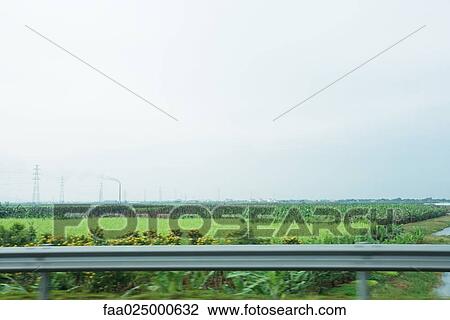Field of crops seen from highway, blurred motion View Large Photo Image Stock Image - Field of crops seen from highway, blurred motion. Fotosearch