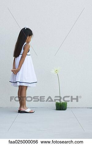 Girl looking at tall flower, full length View Large Photo Image Stock Photograph - Girl looking at tall flower, full length. Fotosearch