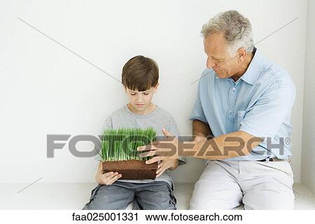 Stock Image - Grandfather and grandson seated, looking down at wheat grass together. Fotosearch