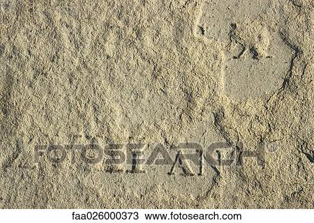 Gravestone, partially buried, extreme close-up View Large Photo Image Stock Image - Gravestone, partially buried, extreme close-up. Fotosearch