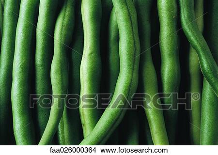 Green beans, close-up, full frame View Large Photo Image Picture - Green beans, close-up, full frame. Fotosearch