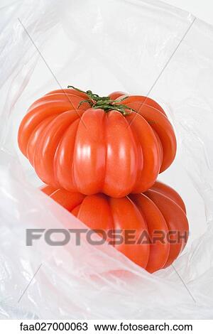 Heirloom tomatoes in plastic bag, close-up View Large Photo Image Stock Image - Heirloom tomatoes in plastic bag, close-up. Fotosearch