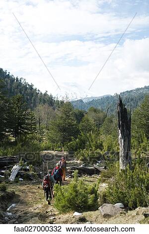 Hikers carrying backpacks and skis, walking in wilderness, rear view, snow-capped mountain in the distance View Large Photo Image Stock Image - Hikers carrying backpacks and skis, walking in wilderness, rear view, snow-capped mountain in the distance. Fotosearch