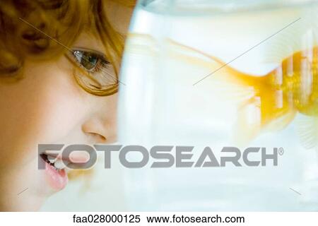Little girl looking at goldfish in fishbowl, close-up View Large Photo Image Stock Photography - Little girl looking at goldfish in fishbowl, close-up. Fotosearch