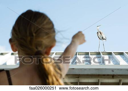 Little girl pointing at heron, rear view View Large Photo Image Stock Image - Little girl pointing at heron, rear view. Fotosearch