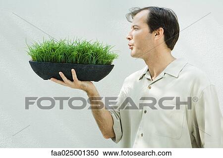 Man blowing on potted wheat grass, profile View Large Photo Image Stock Image - Man blowing on potted wheat grass, profile. Fotosearch