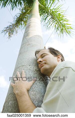 Man embracing tree, eyes closed, low angle view View Large Photo Image Stock Photo - Man embracing tree, eyes closed, low angle view. Fotosearch