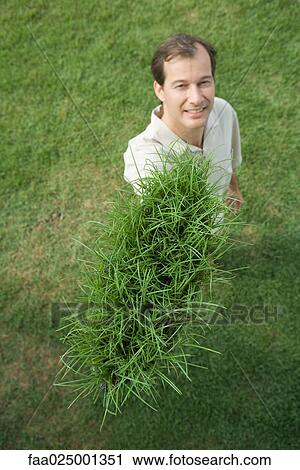 Man holding up clump of grass, smiling at camera, high angle view View Large Photo Image Stock Image - Man holding up clump of grass, smiling at camera, high angle view. Fotosearch