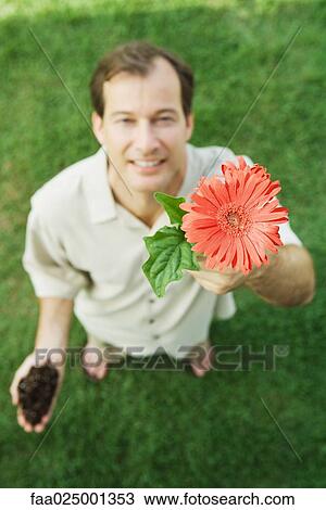 Man holding up gerbera daisy, smiling at camera, high angle view View Large Photo Image Stock Image - Man holding up gerbera daisy, smiling at camera, high angle view. Fotosearch