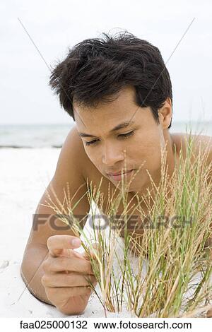 Stock Image - Man lying on the beach touching dune grass, close-up. Fotosearch