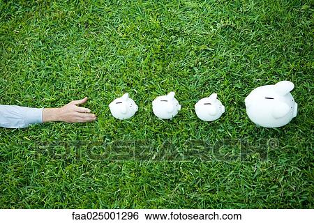 Man reaching for line of piggy banks, cropped view View Large Photo Image Stock Photograph - Man reaching for line of piggy banks, cropped view. Fotosearch