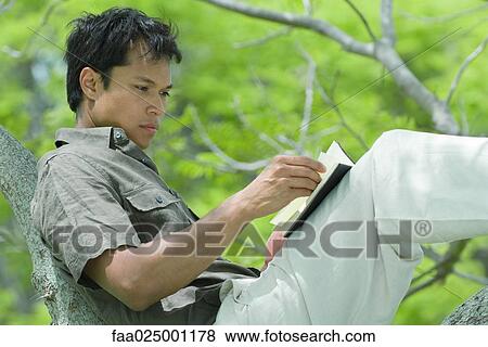 Man resting on tree branch, reading book View Large Photo Image Stock Photo - Man resting on tree branch, reading book. Fotosearch