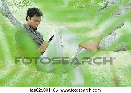 Man resting on tree branch, reading book View Large Photo Image Stock Photography - Man resting on tree branch, reading book. Fotosearch