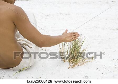 Man sitting in sand touching dune grass, cropped rear view View Large Photo Image Stock Photo - Man sitting in sand touching dune grass, cropped rear view. Fotosearch