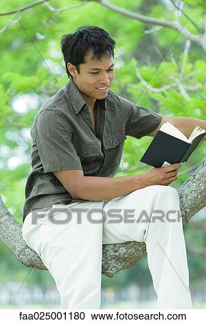 Man sitting in tree, reading book View Large Photo Image Stock Image - Man sitting in tree, reading book. Fotosearch