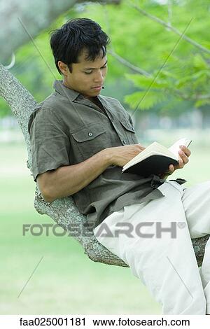 Man sitting in tree, reading book View Large Photo Image Stock Image - Man sitting in tree, reading book. Fotosearch