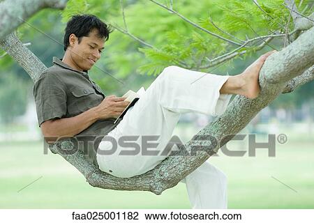 Man sitting in tree, reading book View Large Photo Image Stock Image - Man sitting in tree, reading book. Fotosearch