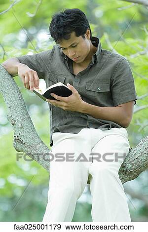 Man sitting in tree, reading book View Large Photo Image Stock Photo - Man sitting in tree, reading book. Fotosearch