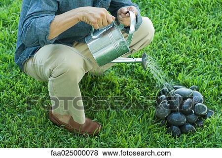 Man watering stack of pebbles, cropped View Large Photo Image Stock Photo - Man watering stack of pebbles, cropped. Fotosearch