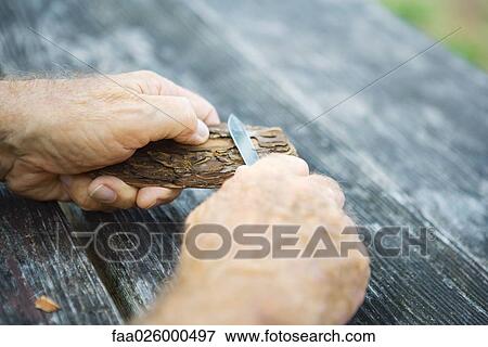 Man whittling piece of bark, cropped view of hands View Large Photo Image Stock Photo - Man whittling piece of bark, cropped view of hands. Fotosearch