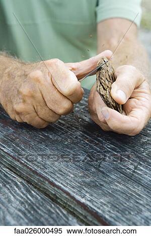 Man whittling piece of bark, cropped view of hands View Large Photo Image Stock Photography - Man whittling piece of bark, cropped view of hands. Fotosearch