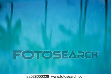 Stock Photo - Palm trees reflected on water surface, defocused. Fotosearch
