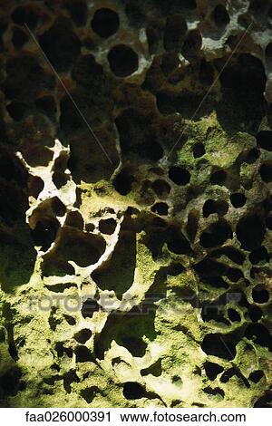 Porous rock, close-up, full frame View Large Photo Image Stock Image - Porous rock, close-up, full frame. Fotosearch